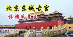 嗯～插我～用力啊～好多水好爽啊～～中国北京-东城古宫旅游风景区